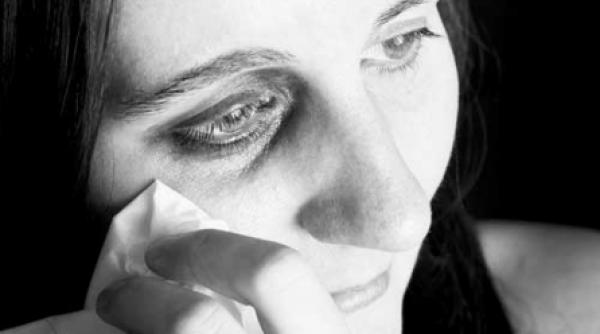 centre fantoma si muzee pe bani publici