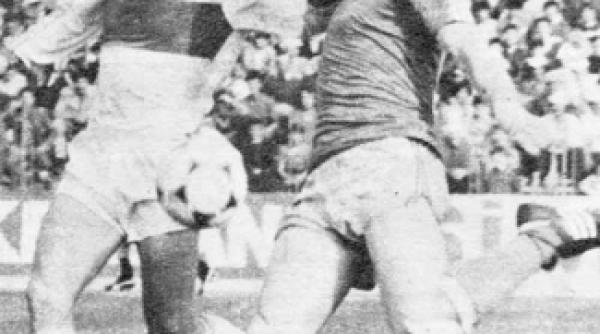 procentaj maxim pentru dinamo