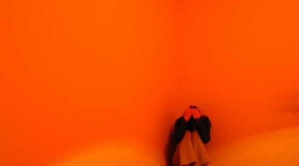 adaposturi care primesc victime ale violentei in familie ii