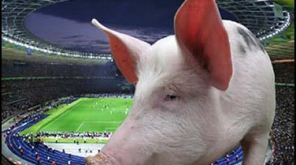 gripa porcina loveste fotbalul european in anglia scuipatul pe terenul de fotbal a fost interzis