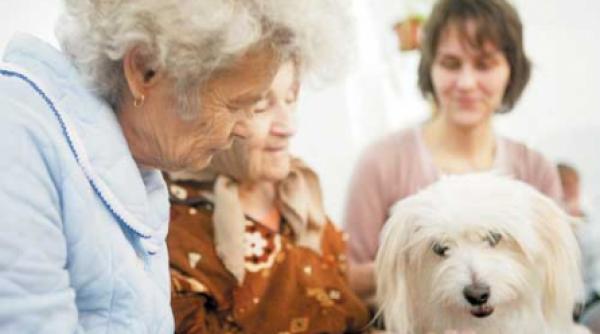 bonjuk i a invatat pe batrani sa zambeasca din nou