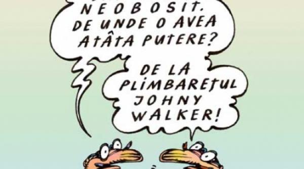 despartirea de liiceanu si apropierea de borcea