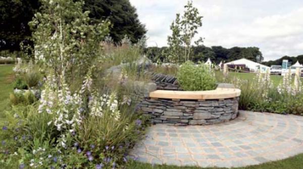 un iaz atractiv si neobisnuit