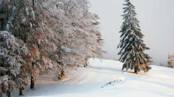 2010 incepe cu ninsori abundente