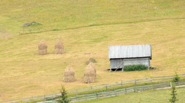 viata lui adrian paunescu povestita de adrian paunescu 17