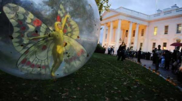 halloween la casa alba