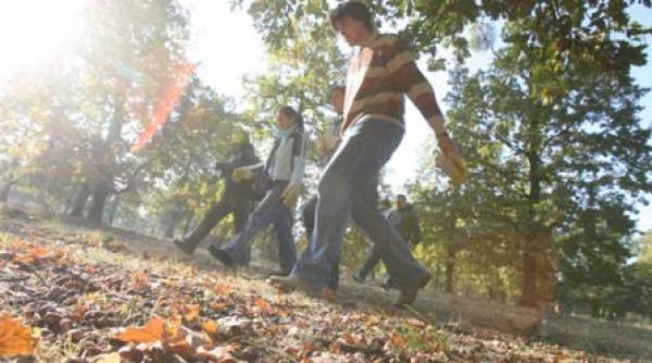 parintii au ucis padurea copiii i au dat viata