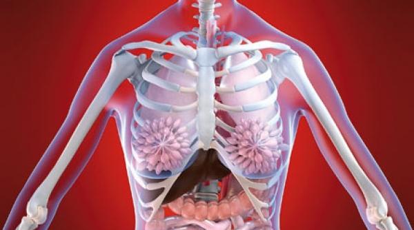cine lanseaza alarme false si pacaleli in organism