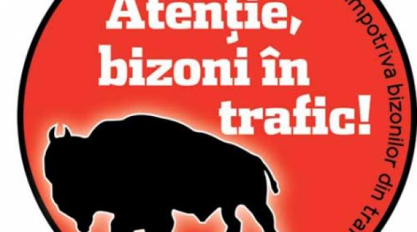 duios bizonul trecea bizonii s au intors editia a doua faza pe tara