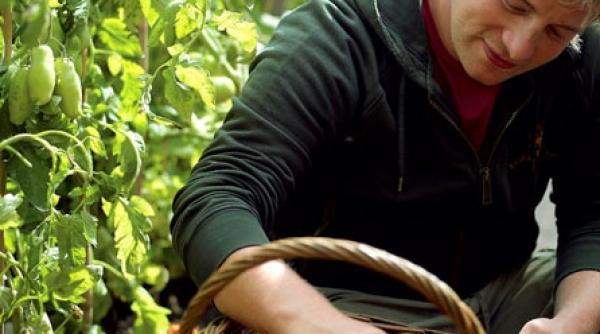 o alegere castigatoare legume aromate si paine cu personalitate