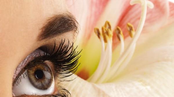 tatuarea sprancenelor moft