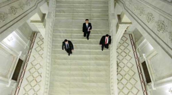 croitoru trantit in versuri