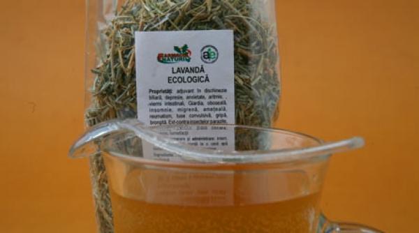 vanzarile au crescut de cinci ori