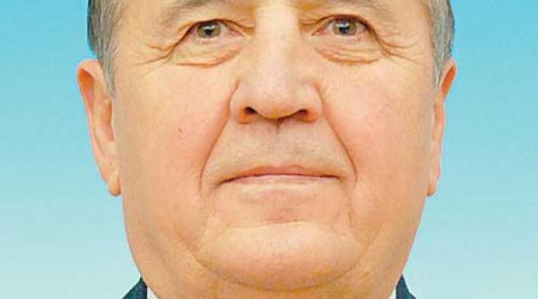 cei 11 cavaleri ai apocalipsei forestiere