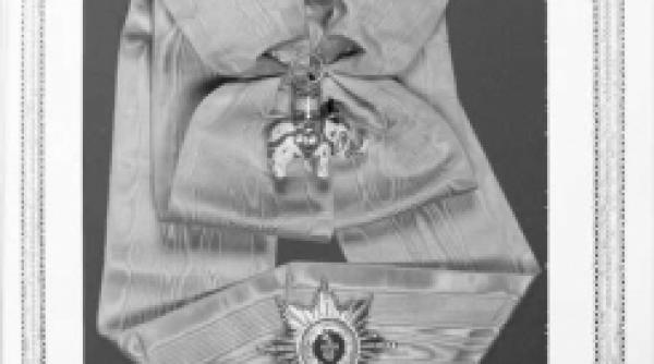 elefantul tovarasului s a intors cu doua zile mai devreme in danemarca