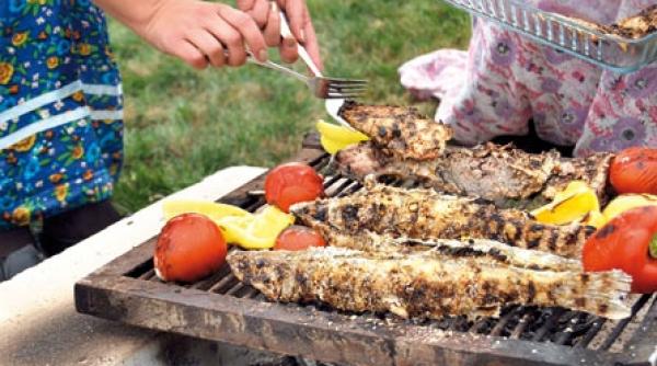 fumul iese pe horn dar caldura ramane in casa