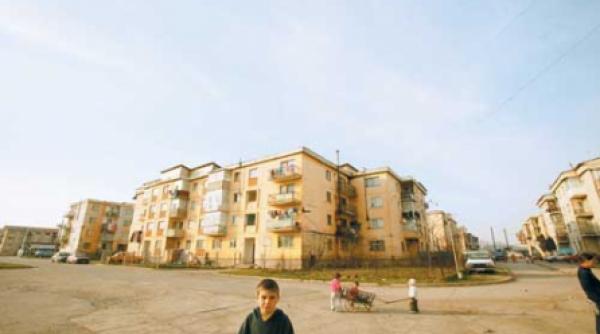 proprietari atasati de casa si nedusi in lume