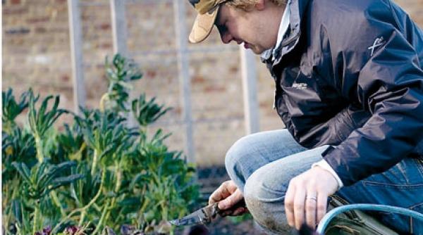 aii phone ai jamieoliver