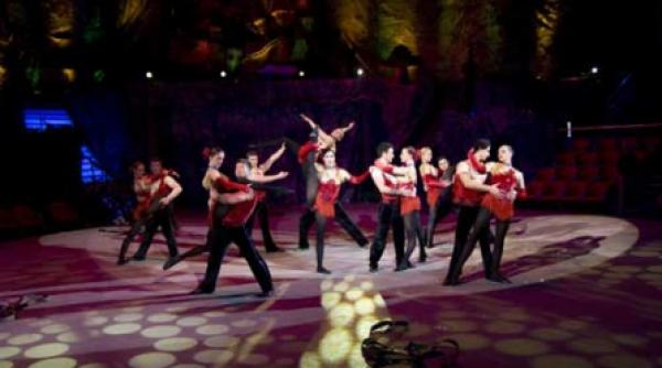 padurea fermecata in parcul titan