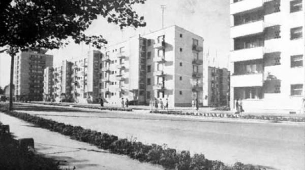 proiectul pentru viitorul romaniei o utopie a congresului al xiv lea