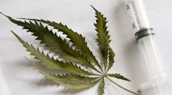 codasi in ue la consum fruntasi la trafic online