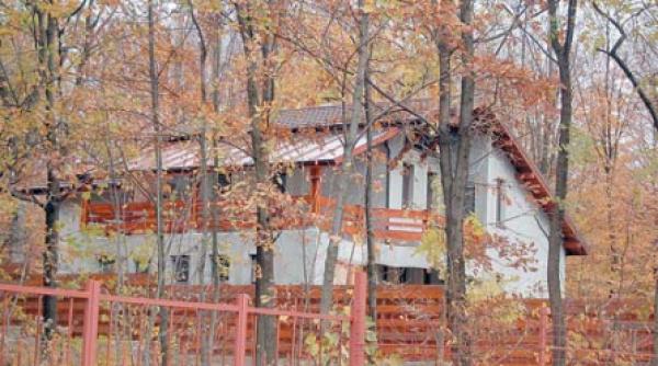 padurea de vile din rezervatia repedea