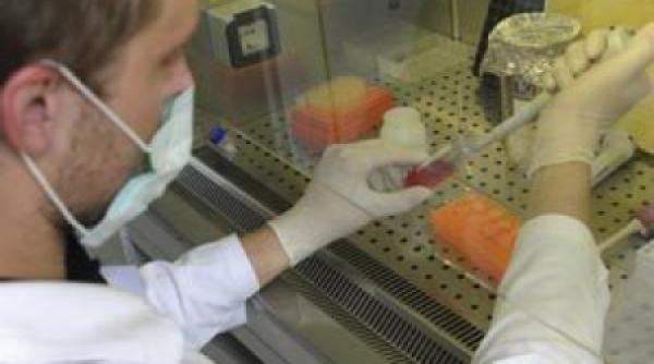 ucraina peste un milion de oameni infectati cu a h1n1