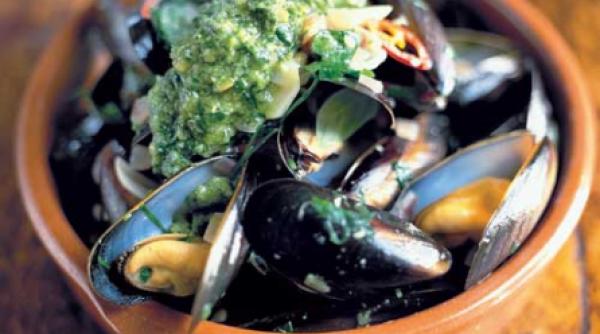 arborele genealogic din bucatarie