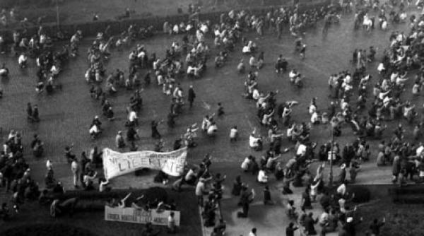 unitatile antitero au fost inlaturate din piata palatului