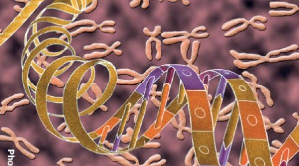 cercetatorii au descoperit gena care te ajuta sa traiesti 100 de ani