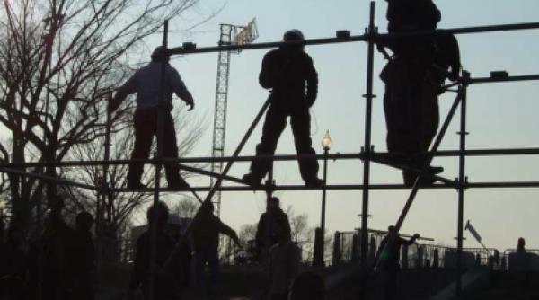 romanii oile negre ale imigratiei