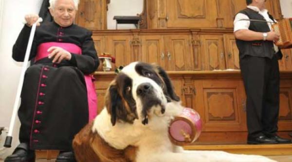 un caine binecuvantat otto