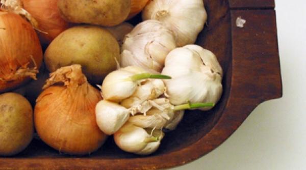 militarii moldoveni combat gripa porcina cu ceapa si usturoi