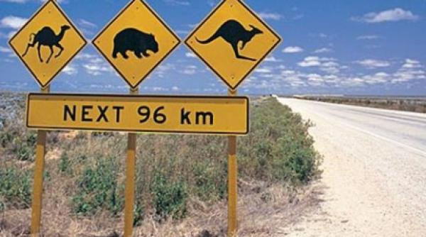 a plecat dupa ziare si a condus 600 de kilometri in directia gresita dupa ce s a ratacit