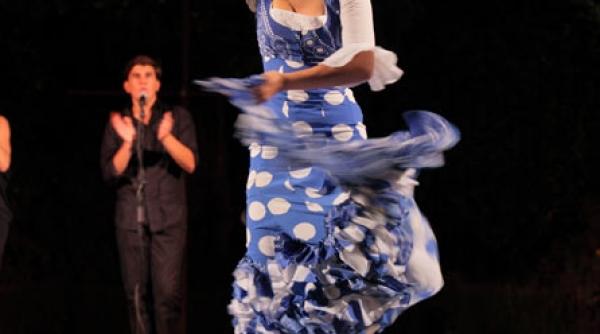 flamenco de calitate