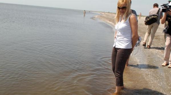 filmari subacvatice de iarna