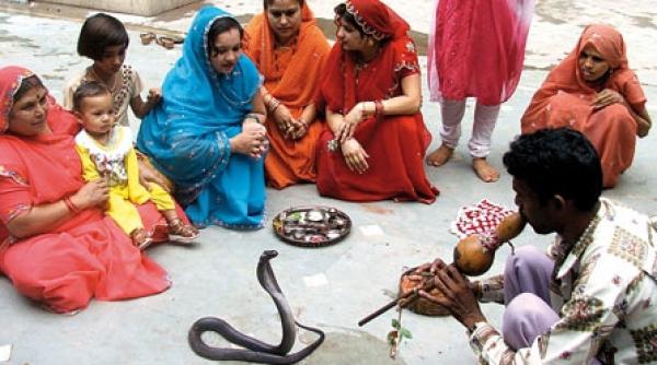 fobii cauze si efecte