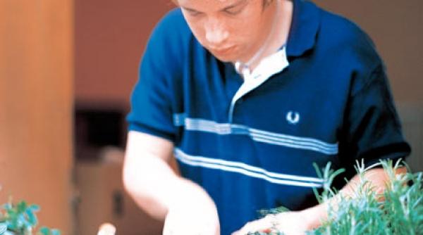 pustiul bucatar se intoarce