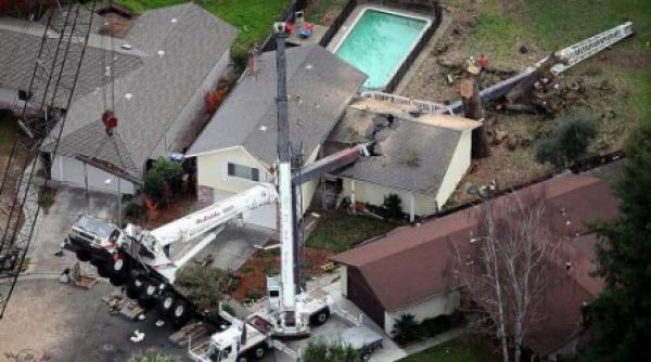 vizita neanuntata macara gigant in casa