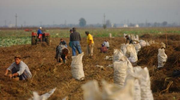 subventii pierdute pe drum