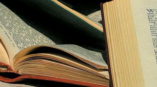 piata sosului picant