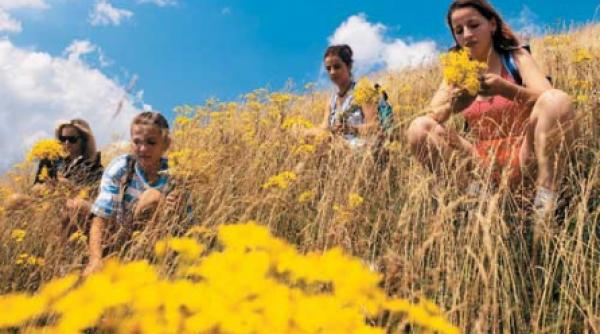 sahia film deschide ferestrele