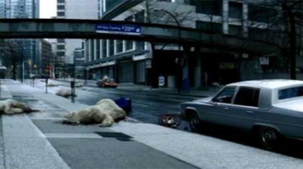 video poluare ursii polari se prabusesc din cer