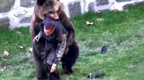 video teroare la zoo