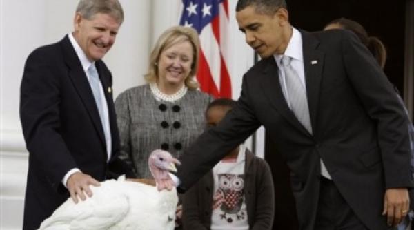 obama a gratiat un curcan