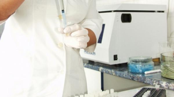 harta 3d a virusului bronsitei