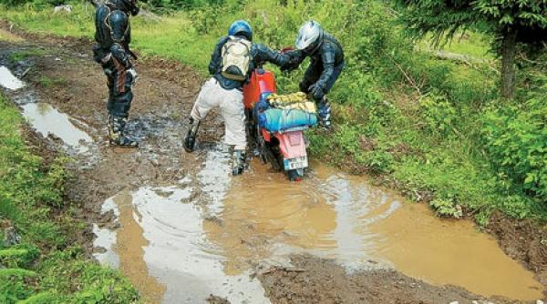 cai putere de prostie