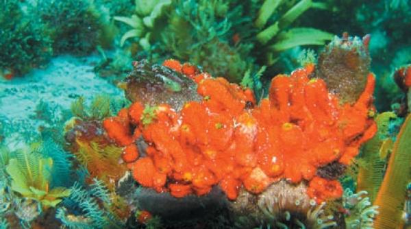 calatoria in abisuri aproape de final