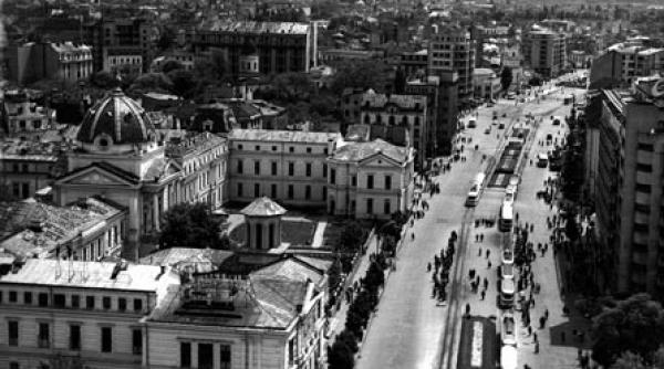 marturii contradictorii privind accidentul