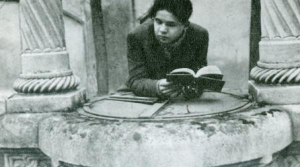 pasarea cu clont de rubin s a razbunat